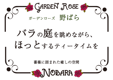 ガーデンローズ 野ばら バラの庭を眺めながら、ほっとするティータイムを 薔薇に囲まれた癒しの空間