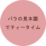 バラの見本園・見本ガーデンで、ほっとできるティータイム
